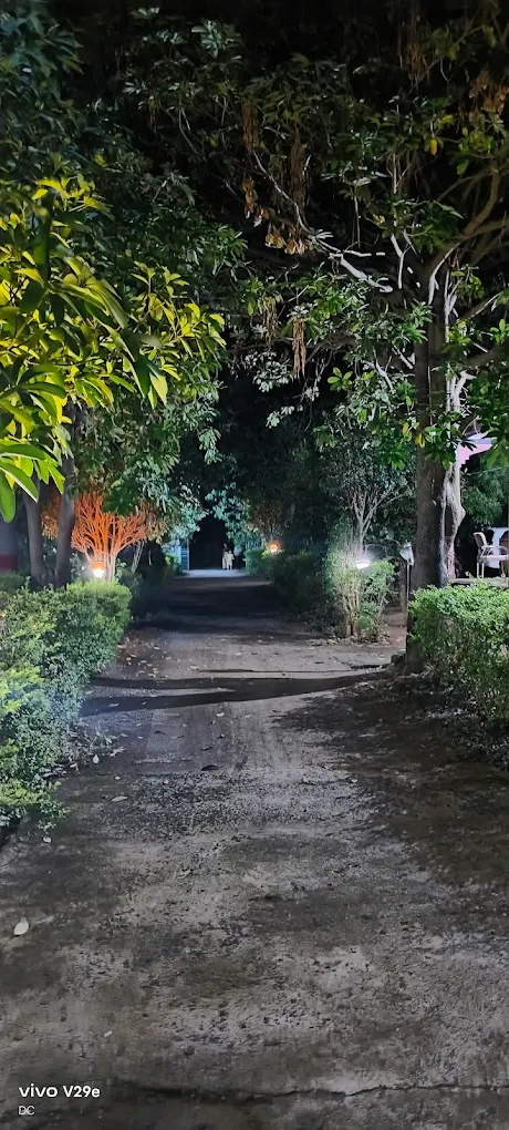 Night lanterns